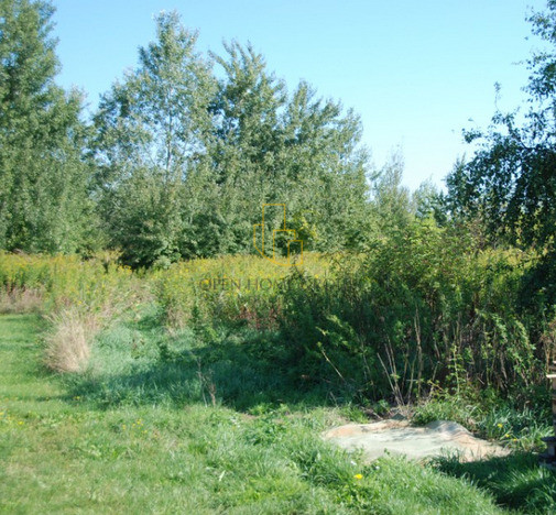 Działka Sprzedaż Radomierzyce 6