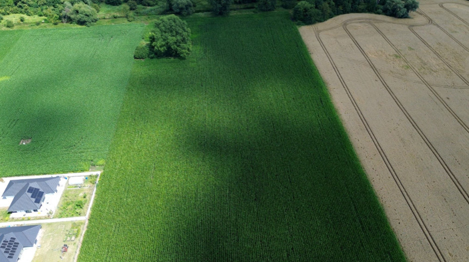 Działka Sprzedaż Szukalice 7