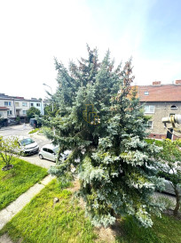 Mieszkanie Wynajem Wrocław