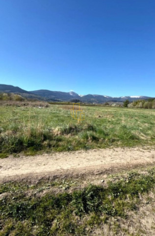 Działka Sprzedaż Ściegny 6